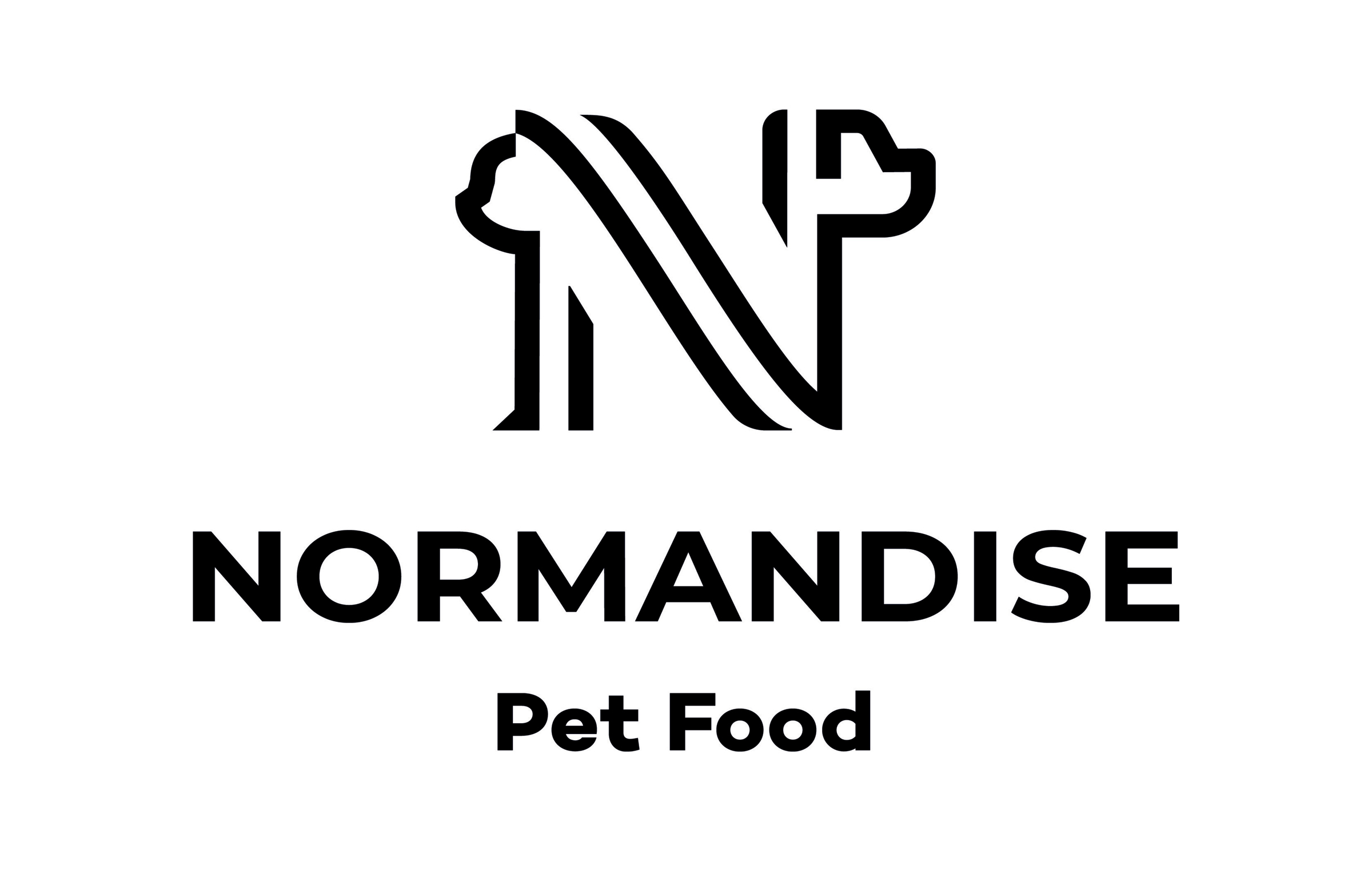 normandise logo